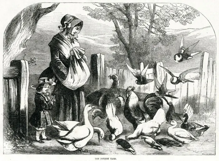 Framed Print : Poultry Yard 1856 Framed Print : Poultry Yard 1856