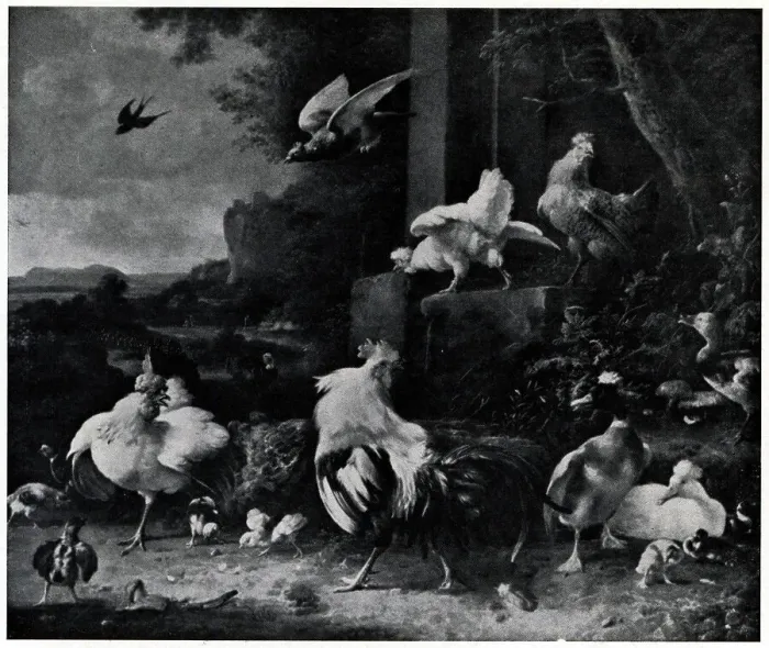 Framed Print : The Poultry Yard Framed Print : The Poultry Yard