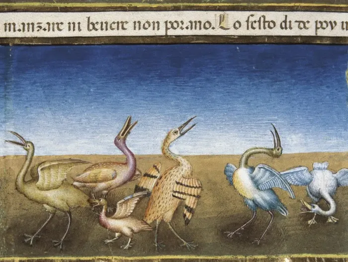Framed Print : DE PREDIS, Cristoforo (1440-1486). Stories of Framed Print : DE PREDIS, Cristoforo (1440-1486). Stories of