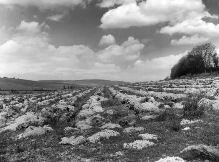 Framed Print : The preliminary ploughing of fallow land, prior to afforestation, at St Framed Print : The preliminary ploughing of fallow land, prior to afforestation, at St