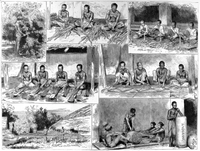 Framed Print : The Preparation of Cinnamon in Ceylon Framed Print : The Preparation of Cinnamon in Ceylon
