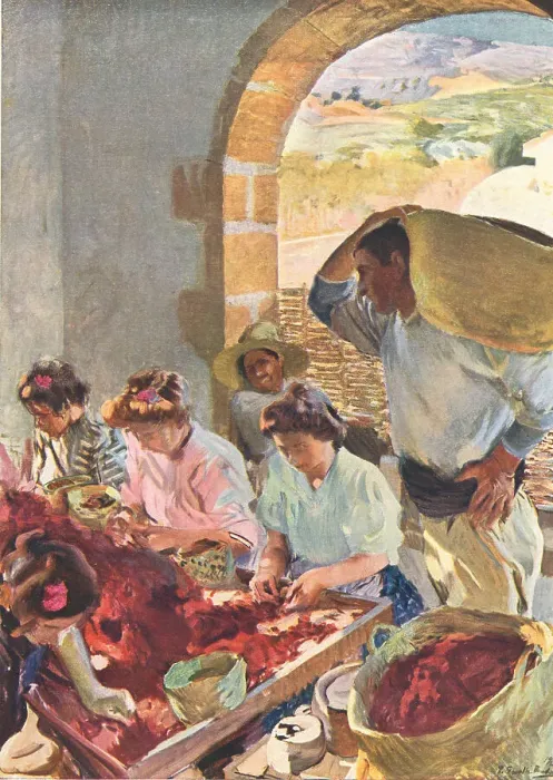 Framed Print : The Preparation Of Dry Grapes Framed Print : The Preparation Of Dry Grapes