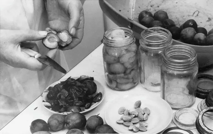 Framed Print : Preserving Plums Framed Print : Preserving Plums