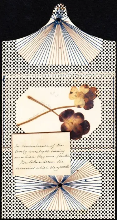 Framed Print : Pressed violets on a handmade greetings card Framed Print : Pressed violets on a handmade greetings card