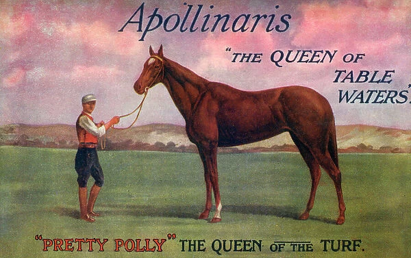 Pretty Polly - Queen of the Turf - sponsored by Apollinaris