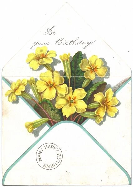 Primroses in an envelope on a birthday card