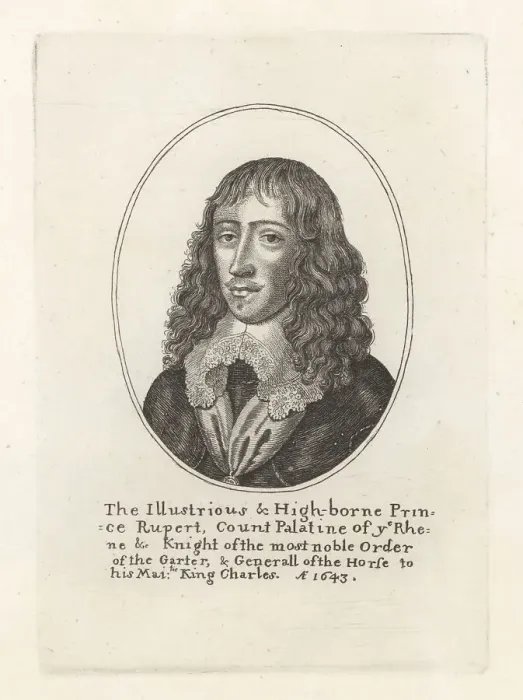 Framed Print : Prince Rupert of the Rhine, 1619-1682 Framed Print : Prince Rupert of the Rhine, 1619-1682