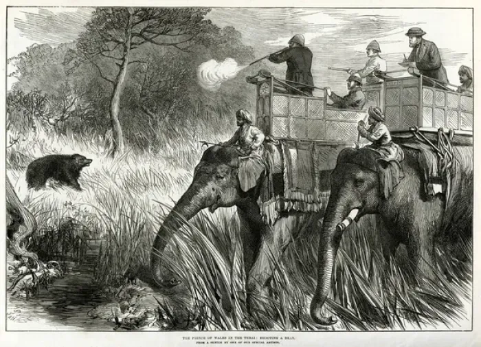 Framed Print : Prince of Wales in Nepal Terai, shooting bears 1876 Framed Print : Prince of Wales in Nepal Terai, shooting bears 1876