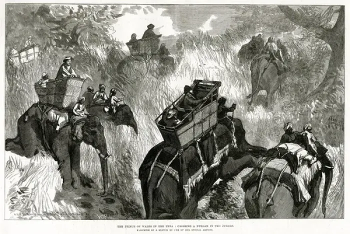 Framed Print : Prince of Wales in Nepal Terai, shooting bears 1876 Framed Print : Prince of Wales in Nepal Terai, shooting bears 1876