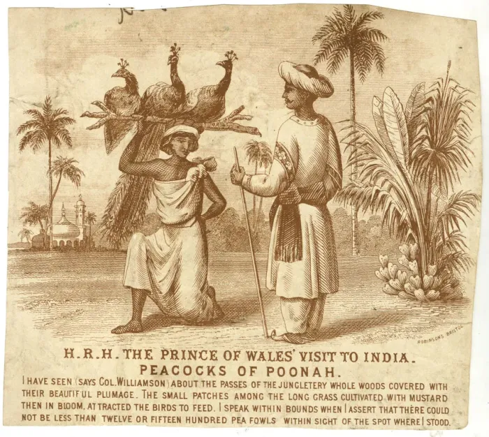Framed Print : Prince of Wales visit to India in 1876 - Peacocks Framed Print : Prince of Wales visit to India in 1876 - Peacocks