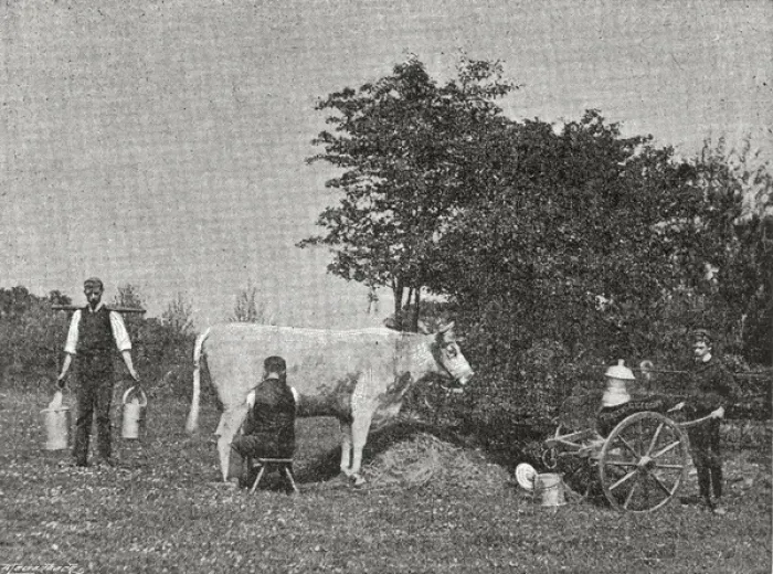 Framed Print : Princess Alice Orphanage, Sutton Coldfield - Milking Time Framed Print : Princess Alice Orphanage, Sutton Coldfield - Milking Time