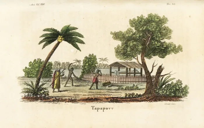 Framed Print : Principal mourner in mask and costume before Framed Print : Principal mourner in mask and costume before
