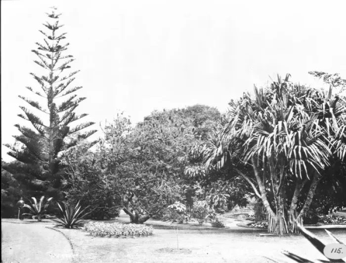 Framed Print : Private garden, St. Michael, Azores 1873 Framed Print : Private garden, St. Michael, Azores 1873