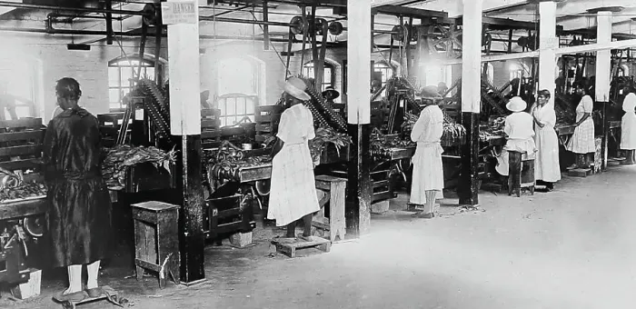 Framed Print : Processing tobacco at a plantation in Virginia, USA Framed Print : Processing tobacco at a plantation in Virginia, USA