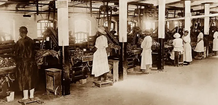 Framed Print : Processing tobacco at a plantation in Virginia, USA Framed Print : Processing tobacco at a plantation in Virginia, USA