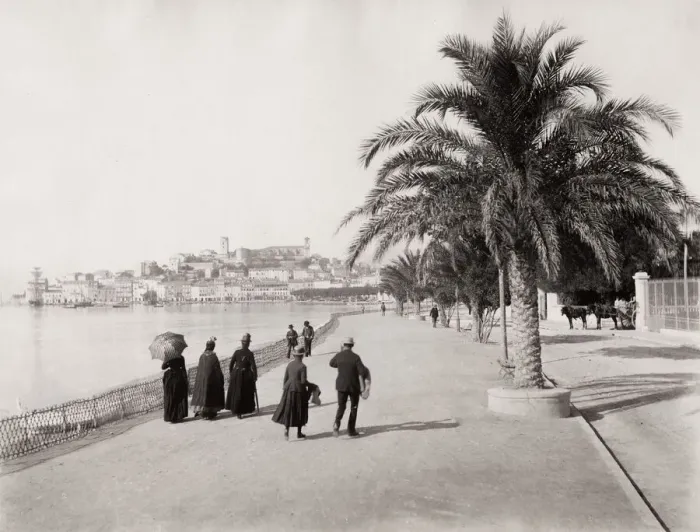 Framed Print : The Promenade de la Croisette, Cannes, France Framed Print : The Promenade de la Croisette, Cannes, France
