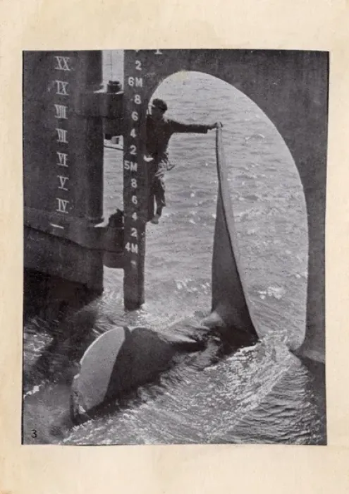Framed Print : Propeller and rudder of large ship Framed Print : Propeller and rudder of large ship