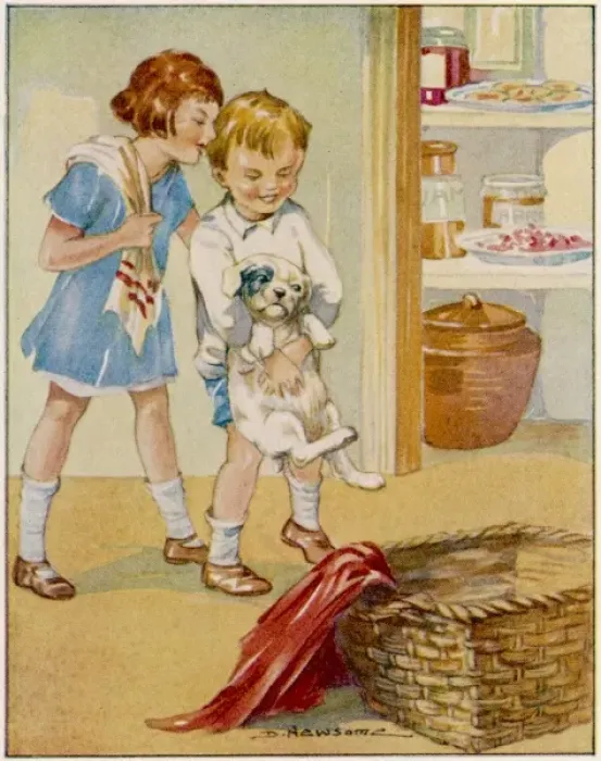 Framed Print : That Provoking Puppy Framed Print : That Provoking Puppy