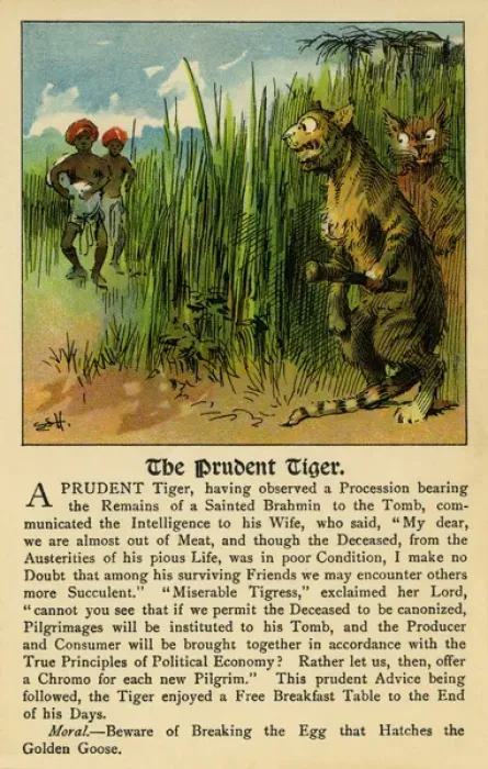 Framed Print : The prudent tiger Framed Print : The prudent tiger