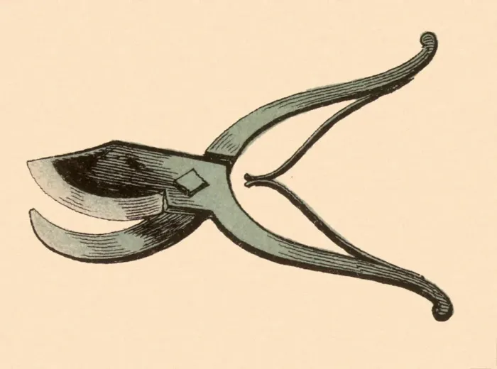 Framed Print : Pruning Shears Date: 1880 Framed Print : Pruning Shears Date: 1880
