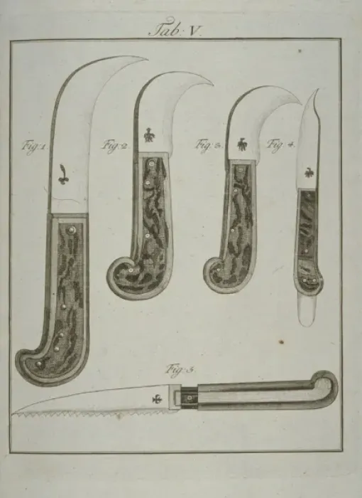 Framed Print : Pruning tools: pruning knives (a, b, c) trimming knife (d), pr Framed Print : Pruning tools: pruning knives (a, b, c) trimming knife (d), pr