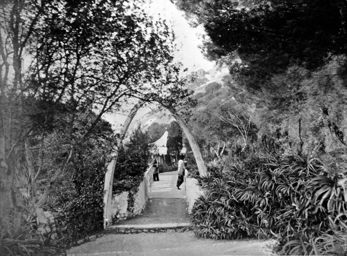 Framed Print : Public Gardens, Gibraltar Framed Print : Public Gardens, Gibraltar