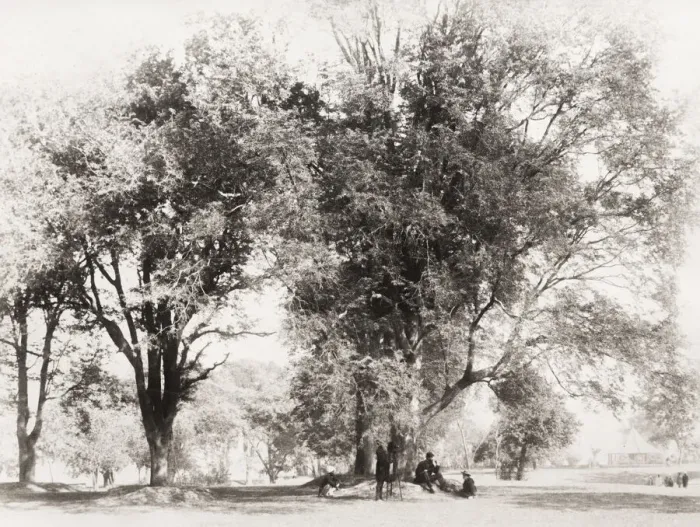 Framed Print : Public gardens, Gonda, India, photographer with camera Framed Print : Public gardens, Gonda, India, photographer with camera