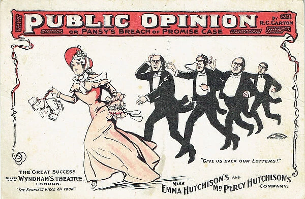 Public Opinion by R C Carton
