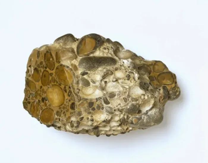 Framed Print : Puddingstone Framed Print : Puddingstone