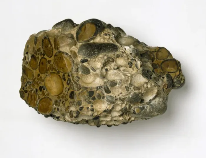 Framed Print : Puddingstone Framed Print : Puddingstone