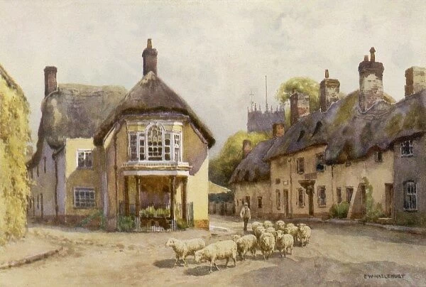 Puddletown  /  Dorset  /  1910