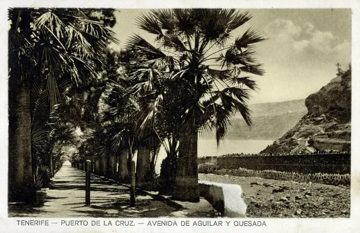Framed Print : Puerto de la Cruz, Tenerife - Avenida de Aguilar y Quesada Framed Print : Puerto de la Cruz, Tenerife - Avenida de Aguilar y Quesada
