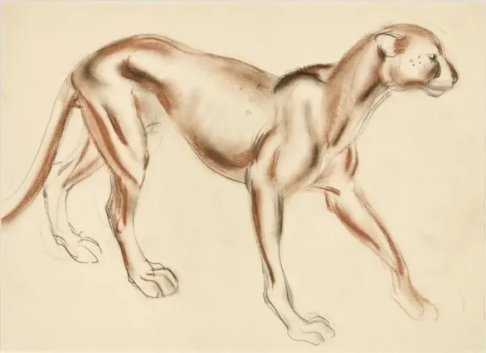 Framed Print : A Puma - pastel study Framed Print : A Puma - pastel study