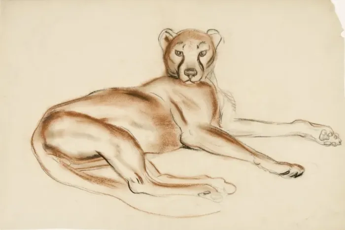 Framed Print : A Puma - study in pastel Framed Print : A Puma - study in pastel