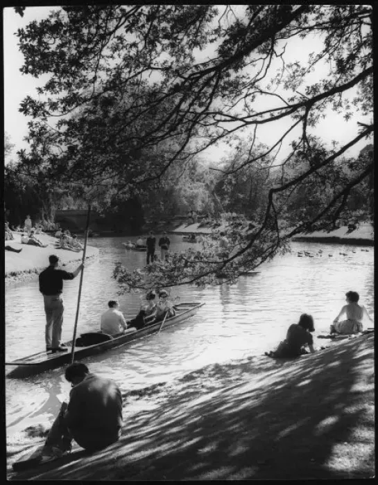 Framed Print : Punting on the River Cam Framed Print : Punting on the River Cam
