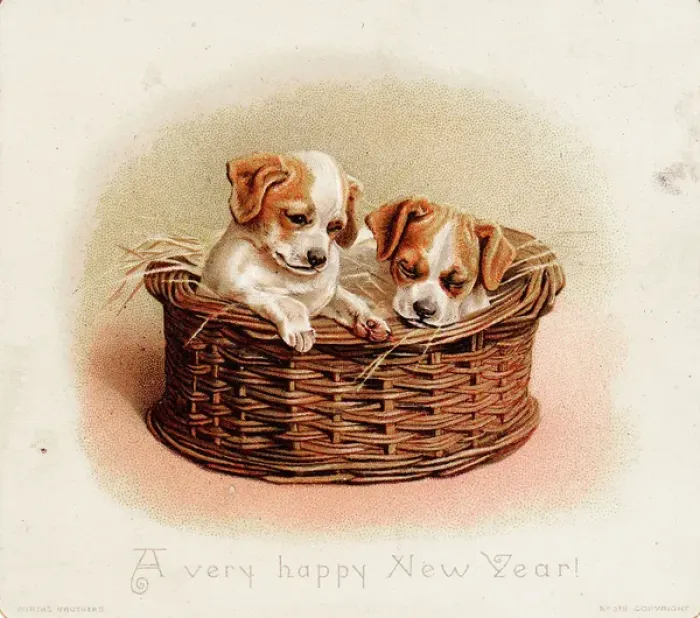 Framed Print : Two puppies in a basket on a New Year card Framed Print : Two puppies in a basket on a New Year card