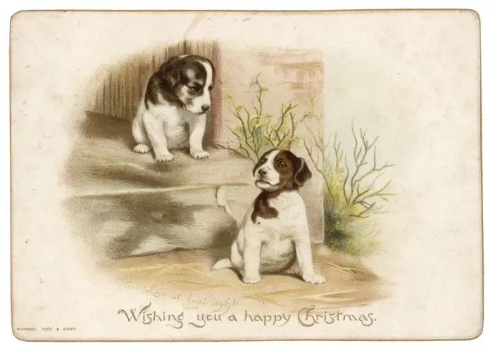 Framed Print : Puppies on a Doorstep Framed Print : Puppies on a Doorstep
