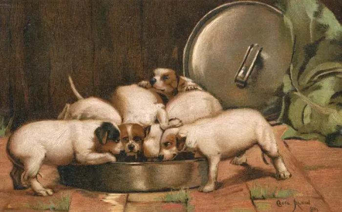 Framed Print : Puppies eating from a large bowl Framed Print : Puppies eating from a large bowl