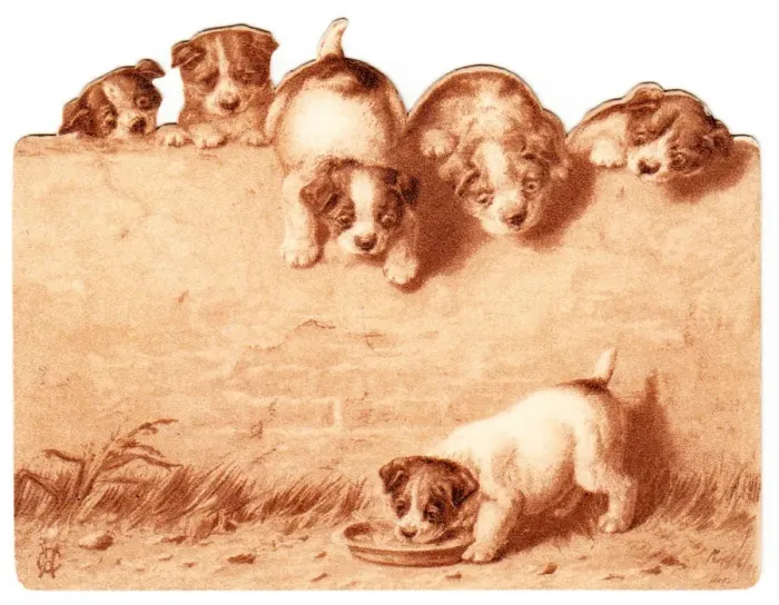 Framed Print : Six puppies on a greetings card Framed Print : Six puppies on a greetings card