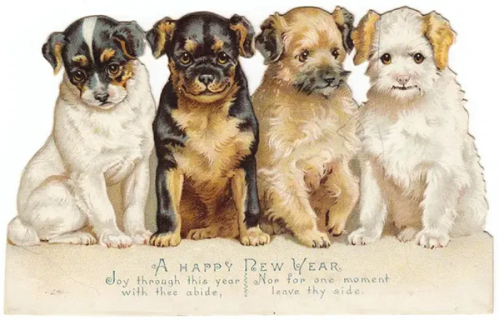 Framed Print : Four puppies on a New Year card Framed Print : Four puppies on a New Year card