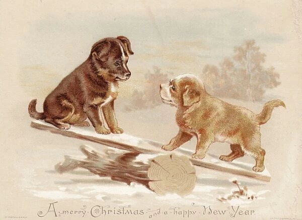 Two puppies on a seesaw on a Christmas card