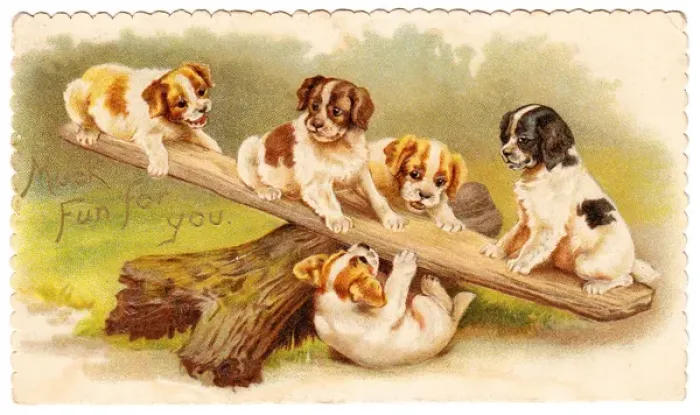 Framed Print : Five puppies on a seesaw on a greetings card Framed Print : Five puppies on a seesaw on a greetings card