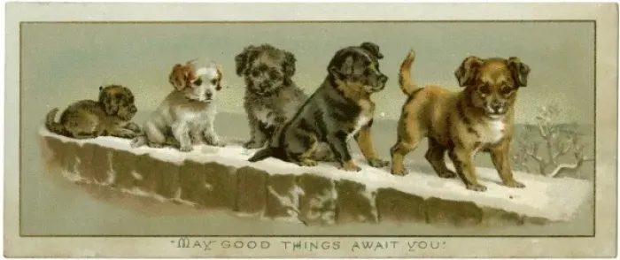Framed Print : Puppies on a Snowy Wall Framed Print : Puppies on a Snowy Wall