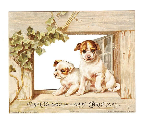 Two puppies in a window on a Christmas card