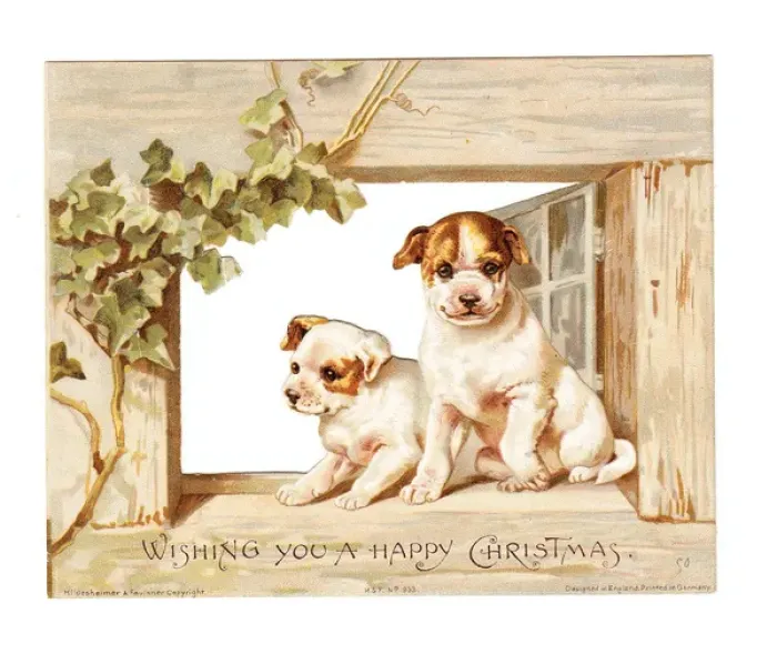 Framed Print : Two puppies in a window on a Christmas card Framed Print : Two puppies in a window on a Christmas card