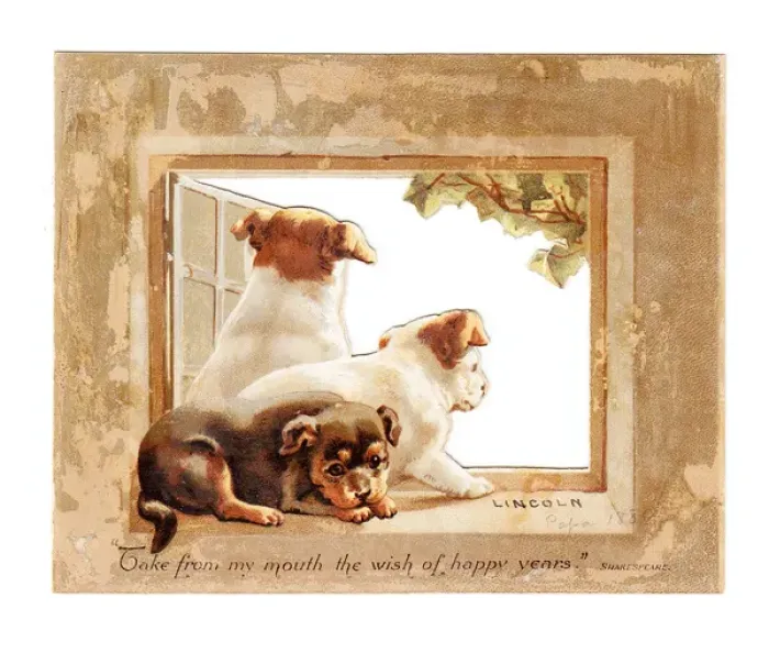Framed Print : Three puppies in a window on a Christmas card Framed Print : Three puppies in a window on a Christmas card