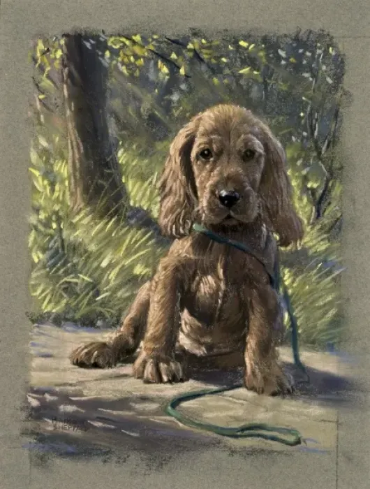 Framed Print : A puppy with a baleful expression Framed Print : A puppy with a baleful expression