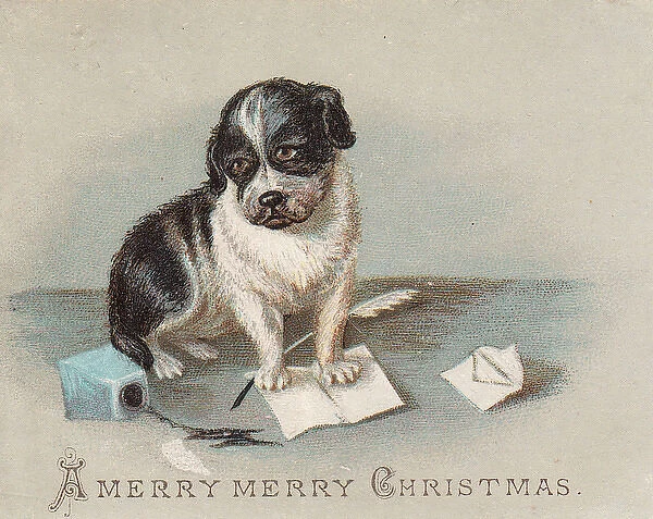 Puppy on a Christmas card