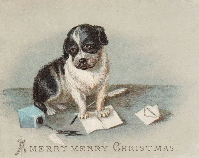 Framed Print : Puppy on a Christmas card Framed Print : Puppy on a Christmas card