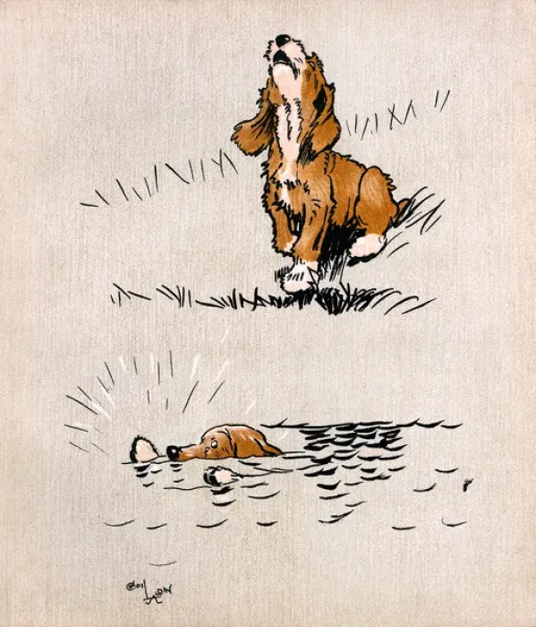 Framed Print : Puppy dog howling as his brother flounders in river Framed Print : Puppy dog howling as his brother flounders in river